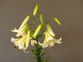 Foto: Dr. Peter Müller